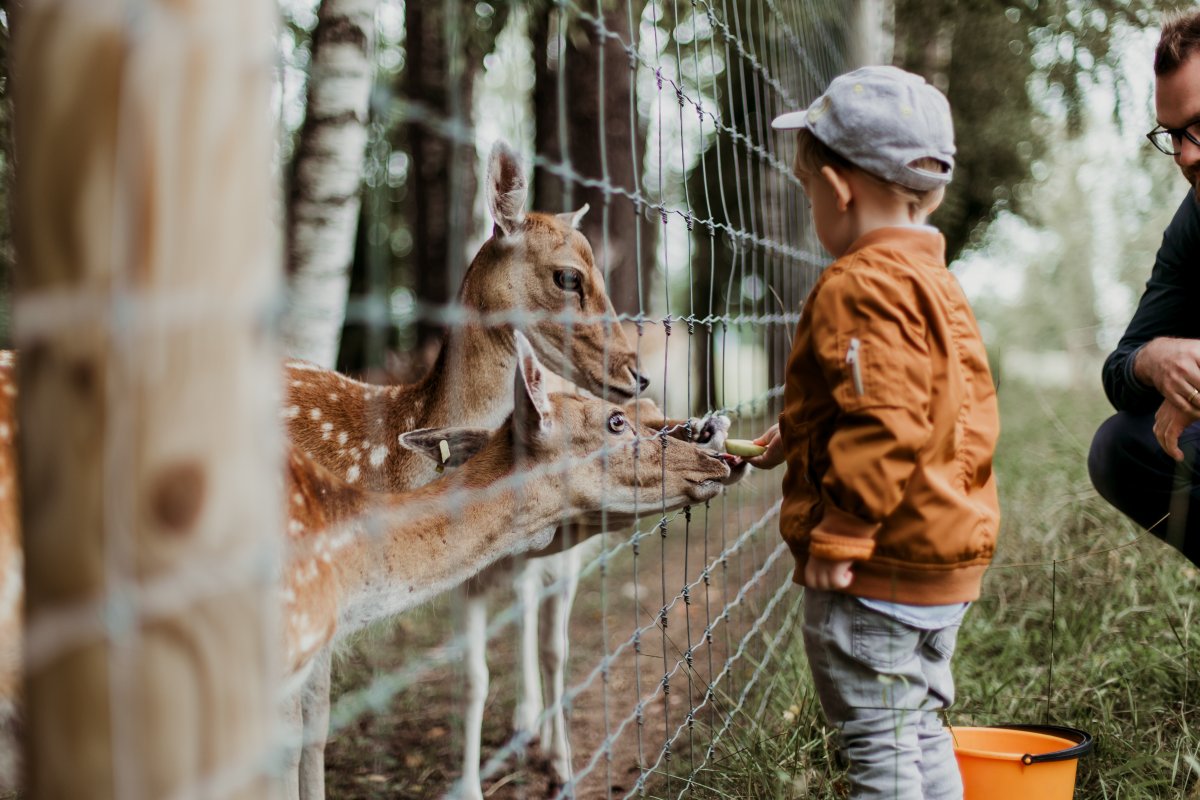 Lembang Park & Zoo